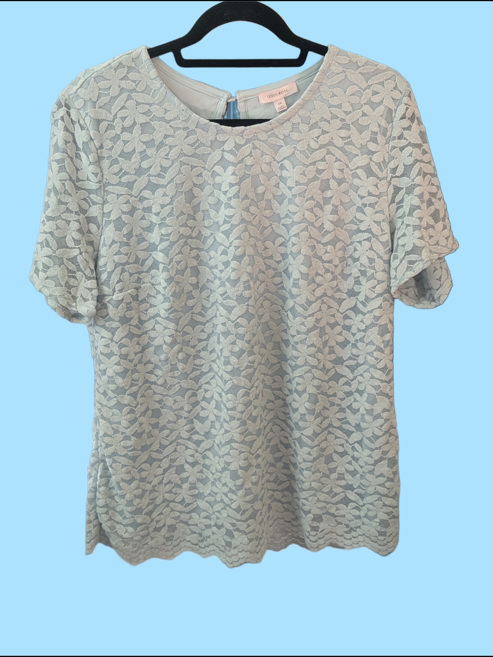 Light Blue Floral Lace Short Sleeve Top